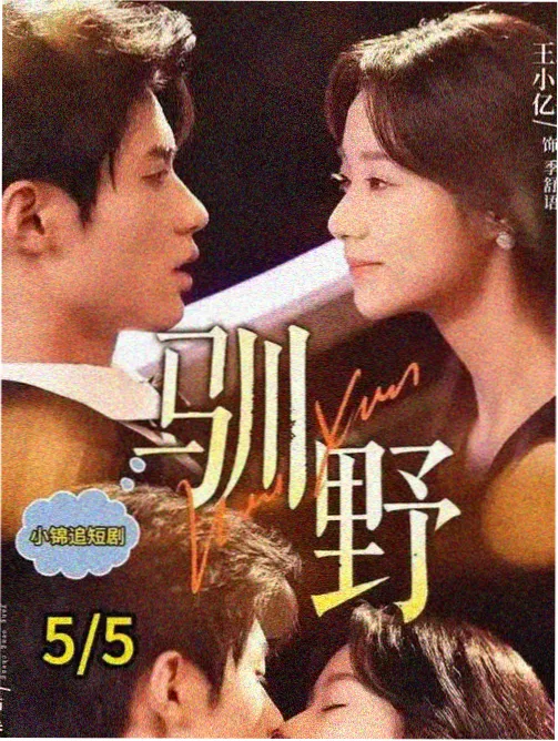 静默频道剧集封面
